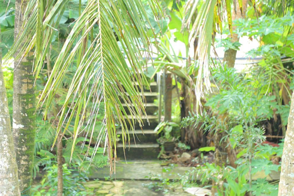 Osanda Guest Bentota Buitenkant foto